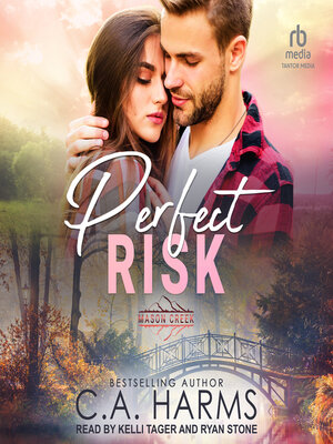 cover image of Perfect Risk